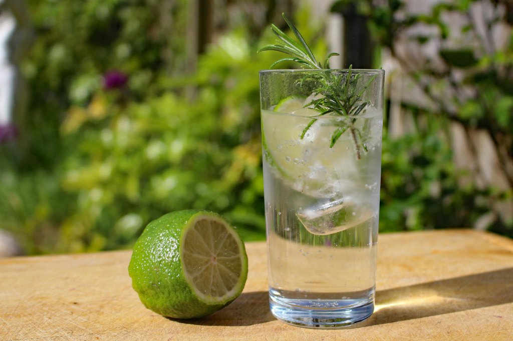 A gin and tonic in a glass with rosemary and lime